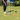 GOLF PRACTICE TARGETS - FinalPutt