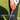 PERFECT GRIP PRO - FinalPutt