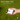 RANGE FINDER - FinalPutt