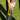 SWING HINGE - FinalPutt