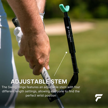 SWING HINGE - FinalPutt