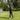 TEMPO ROPE - FinalPutt
