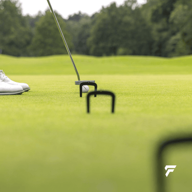 BALL GATES - FinalPutt