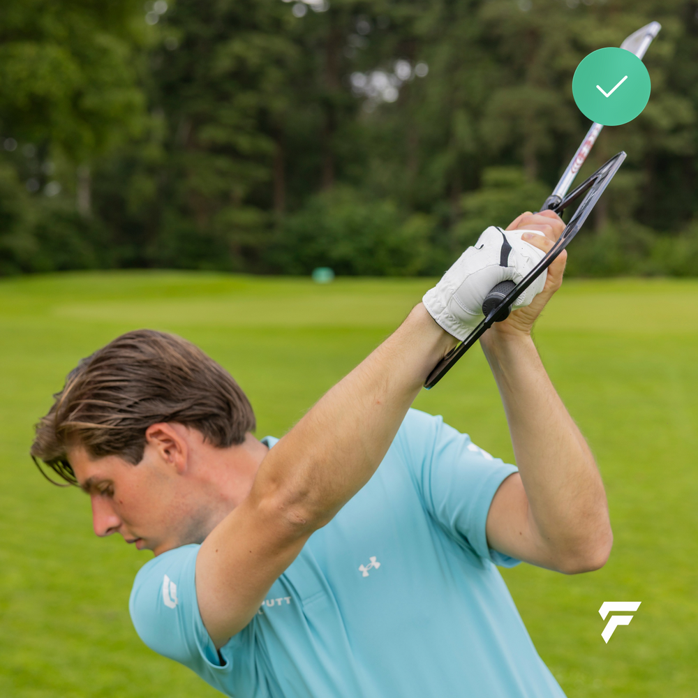 Swing Plane Pro na